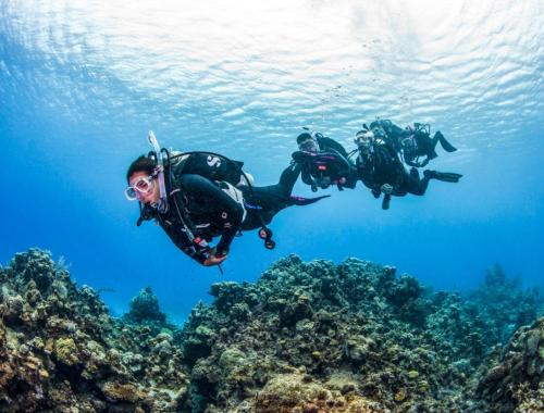 Daily diving in Hurghada - For Certified