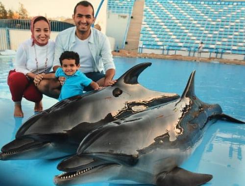 Shooting with Dolphins in Hurghada