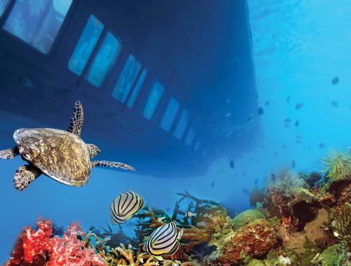 Semi-Submarine hurghada