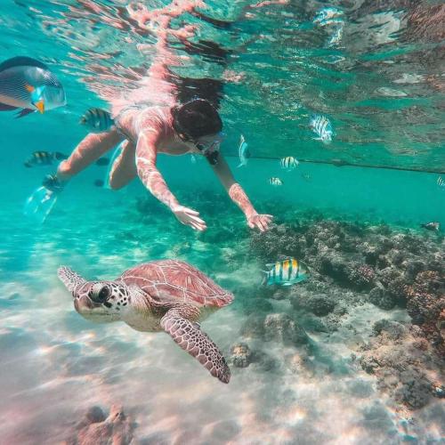 Snorkeling à Abu Dabbab Marsa Alam Hurghada