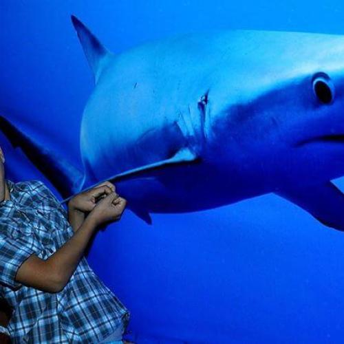 Grand Aquarium hurghada