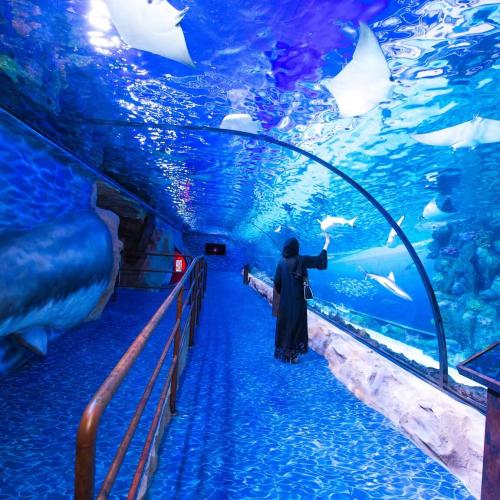 Grand Aquarium hurghada