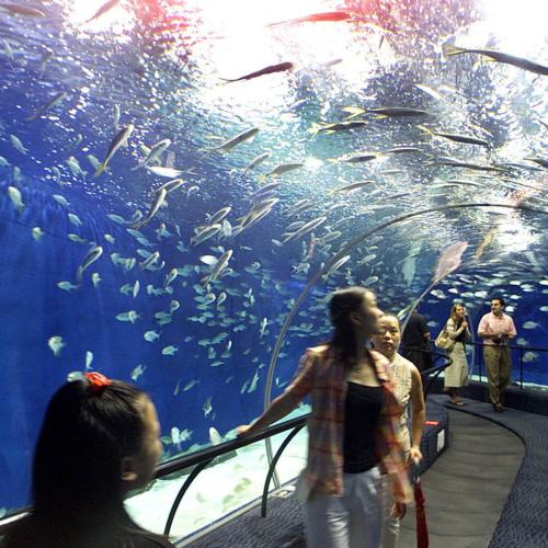 Grand Aquarium hurghada