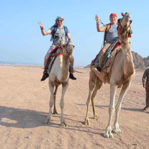 Super Desert Safari Full Program