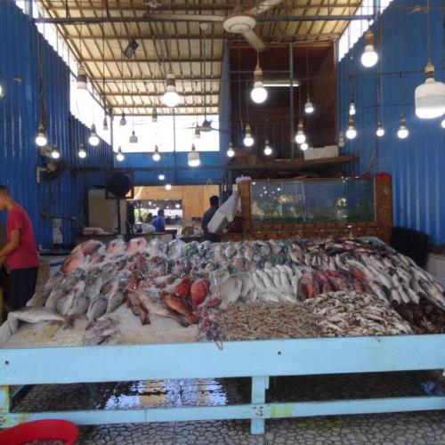 Wycieczka miejska Hurghada