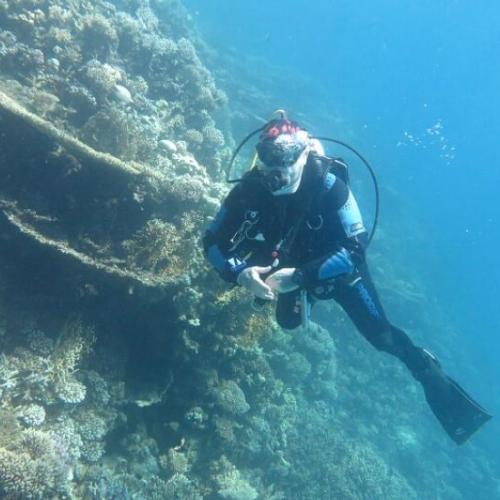 Codzienne nurkowanie w Hurghadzie - dla certyfikowanych