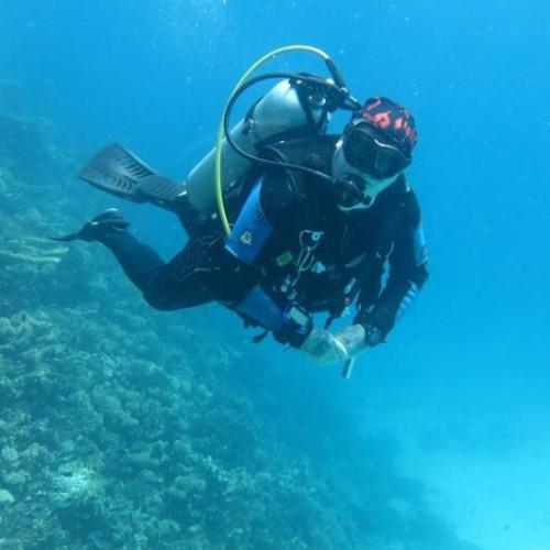 Codzienne nurkowanie w Hurghadzie - dla certyfikowanych