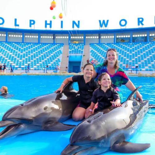 Sesja zdjęciowa z delfinami w Hurghadzie