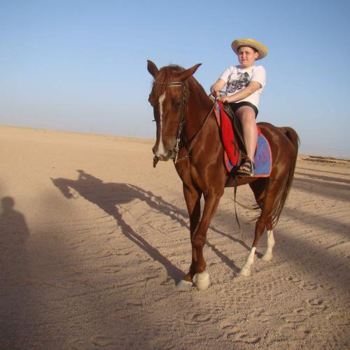 Horse riding with dinner and show hurghada