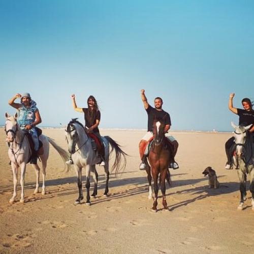 Horse riding with dinner and show hurghada